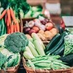 Fiber Benefits