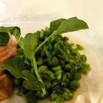 Farm- Raised or Wild Salmon?