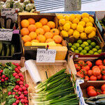 Nitrates Explained