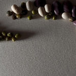 Pulses -- The New Buzz for Weight Loss