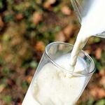 Osteoporosis Update