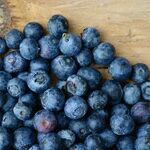 Brain Food