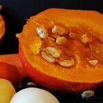 Teaching Healthy Eating to Your Kids