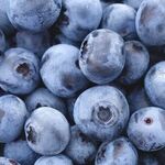 Vitamin D and Breast Cancer