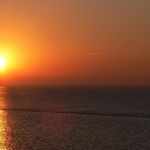 The Latest on Vitamin D