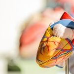 Heart-Healthy Foods