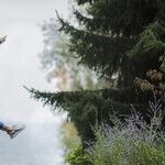Want to Feel Better? Move More