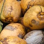 Limit Your Food Waste