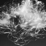 Fuel for the Brain