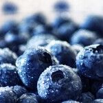 The MIND Diet