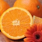 Inflammation and Your Diet