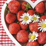 Heart Healthy February