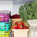 Pantry or Refrigerator?