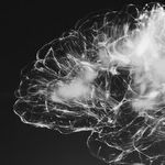 A Younger Brain