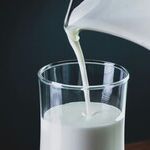 Dairy in Your Diet