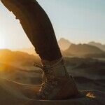 Walking and Diabetes