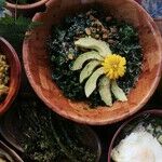 Plant Protein