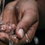Water for Health