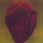 Heart Warning