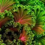 Viral Hepatitis Kills -- A Lot
