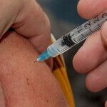 Vaccine Rates Get Shot in the Arm