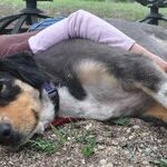 Taught Napping