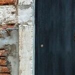 Knock-Knock