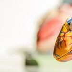 Heat Goes for the Heart