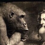 Monkey See, Humans Do