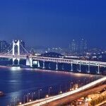 Pandemic Linked to Fewer Deaths