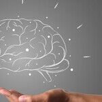 Personality and Alzheimer's Disease