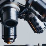Big Bacteria News