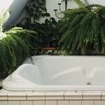 Bath to the Future