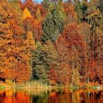 This Fall, Don't Fall