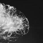 Personality Versus Dementia