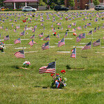 May is a Month to Salute Our Military