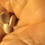 A Surprising List of the Most Dangerous Drugs