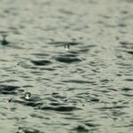 The Storm Has Passed