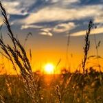 Curbing The Opioid Epidemic