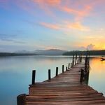 The Fight Against Loneliness