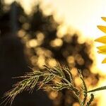 A Healthy Approach to Enjoying the Summer
