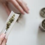 High Potency of Legal Marijuana Creating Health Concerns