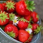 You Are What You Eat During Pandemic Isolation Period