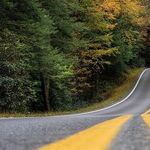 Releasing Anxieties on Roadways Leads to Deadly Consequences