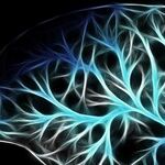 The Search Goes on for New Ways of Treating Brain Conditions