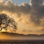 Stress, Loneliness and a Question Too Rarely Asked