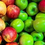 That Johnny Appleseed Fella Knew a Thing or Two About Health
