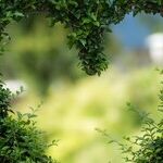 How to Say 'I Love You'