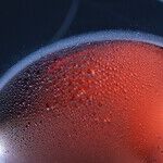 Changing Health Trends