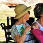 Elder Orphans